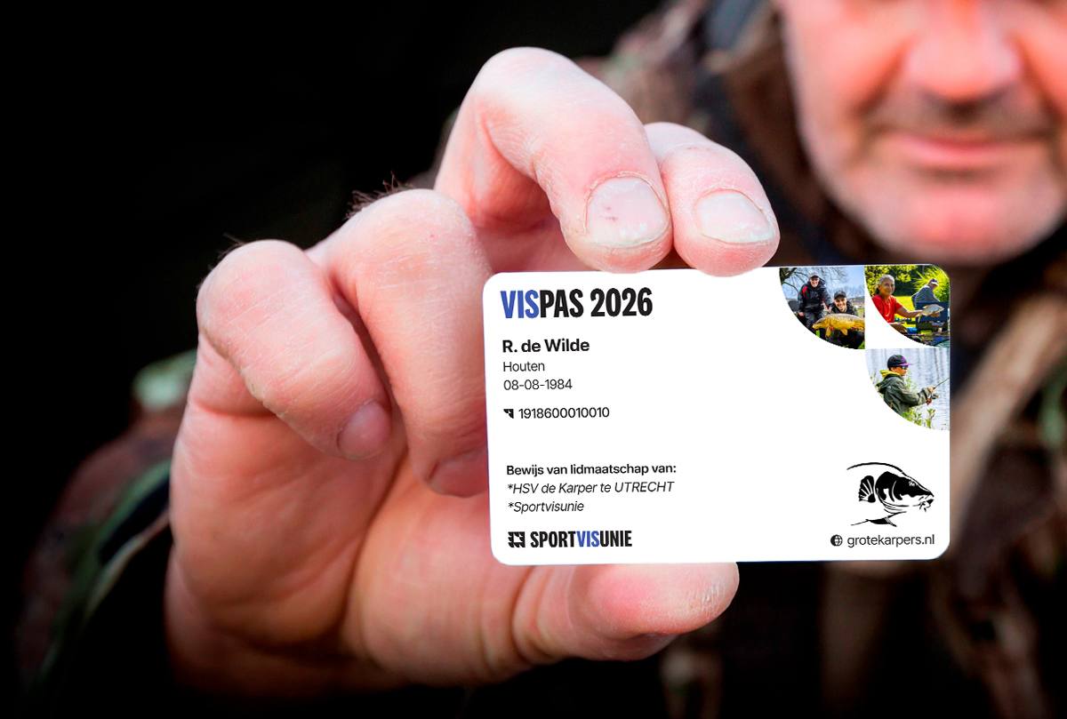 🎣 Carp fishing in the Netherlands: what you need to know