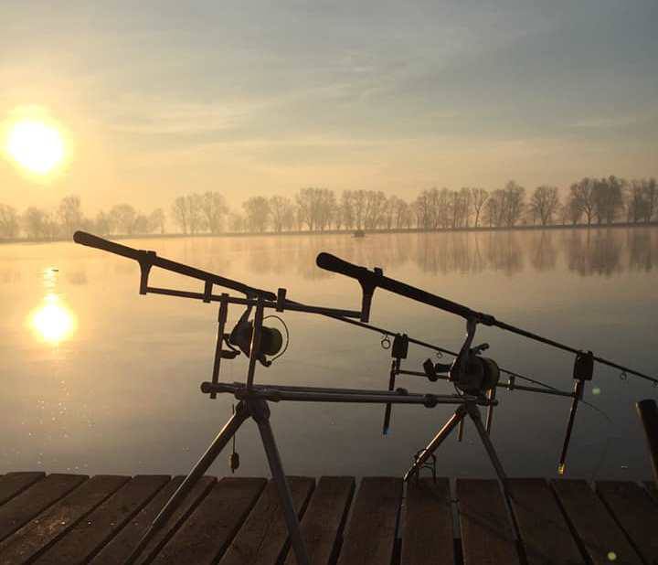 Spring Carp Fishing: Where to Look and How to Catch